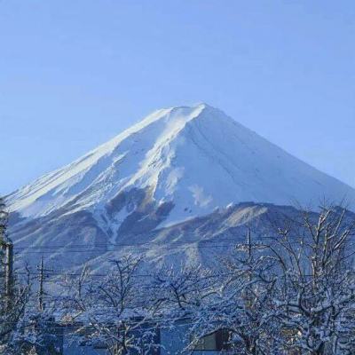 枫叶手游平台琉璃仙境下载